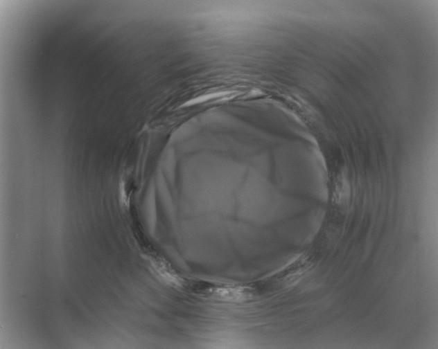 X0000070170524200606231924