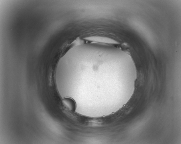 X0000070170525200606231924