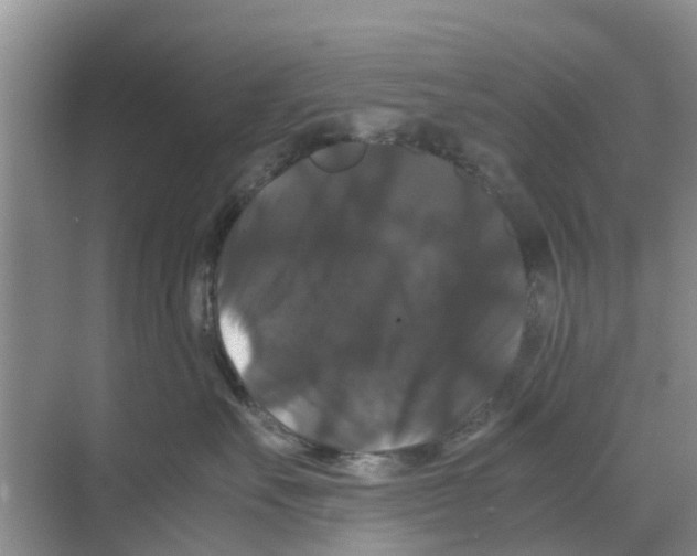 X0000070170527200606231924