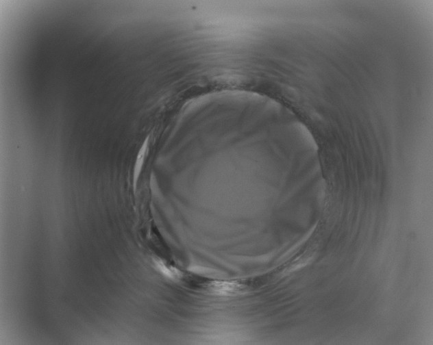 X0000070170528200606231924