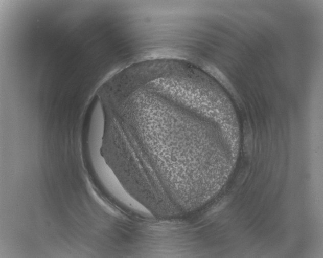 X0000070170530200606231923