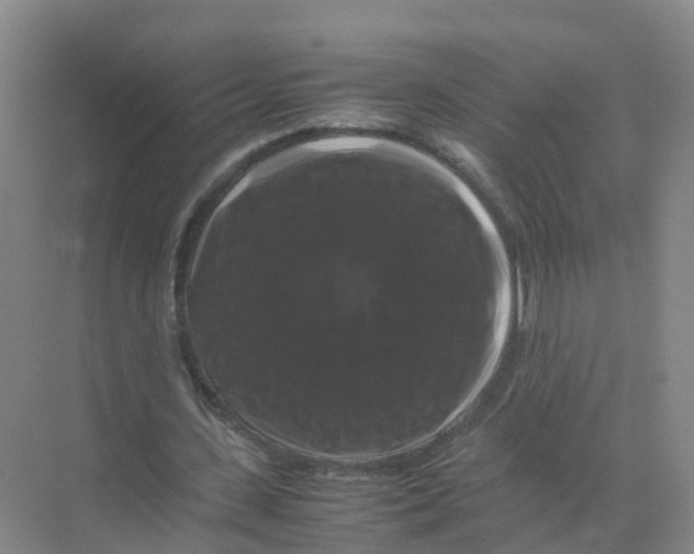 X0000070170531200606231923