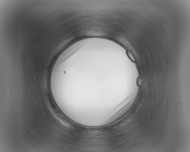 X0000070170533200606231923