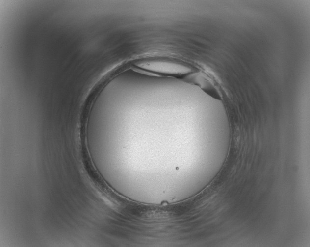 X0000070170535200606231923