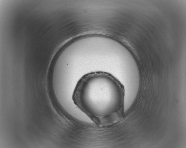 X0000070170536200606231923