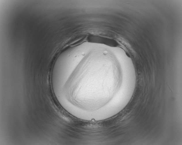 X0000070170537200606231923