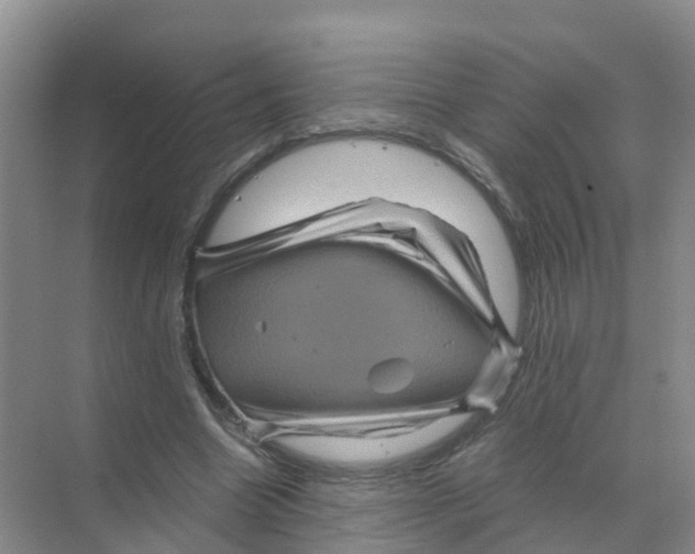 X0000070170538200606231923