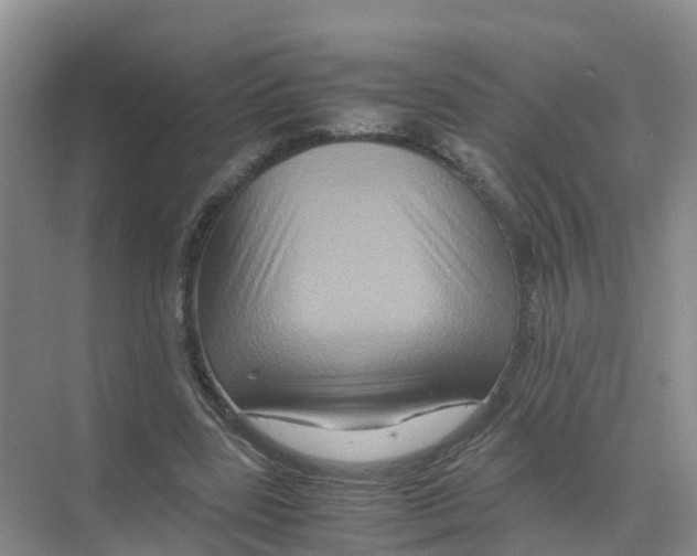 X0000070170539200606231923