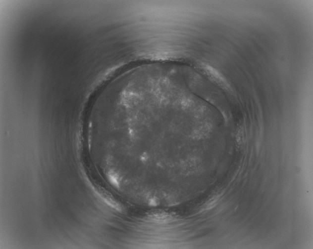 X0000070170540200606231923