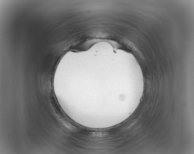 X0000070170541200606231923