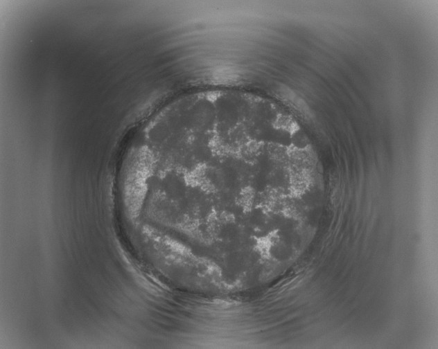 X0000070170542200606231923