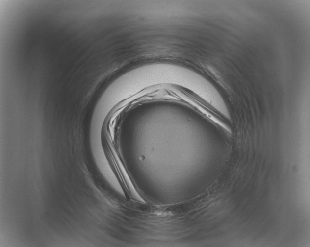 X0000070170543200606231923