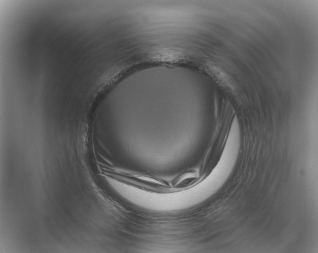 X0000070170544200606231923