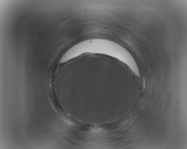 X0000070170547200606231923