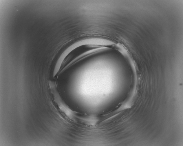 X0000070170548200606231923