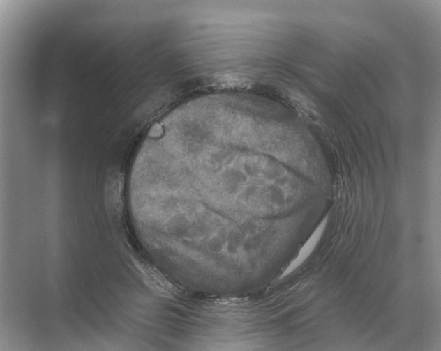 X0000070170550200606231923