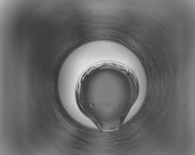 X0000070170551200606231923