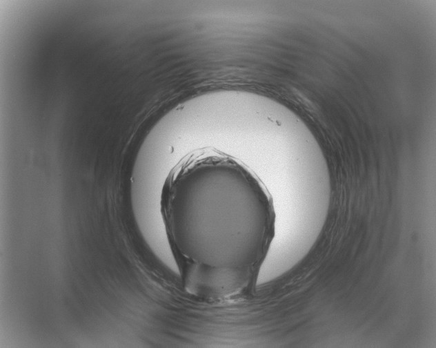 X0000070170552200606231924