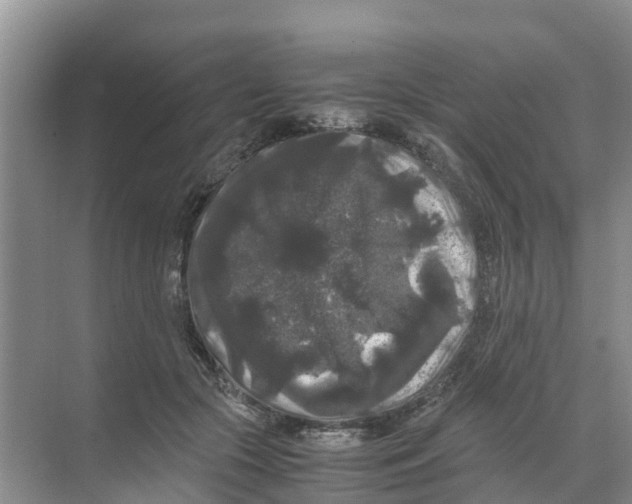 X0000070170553200606231924