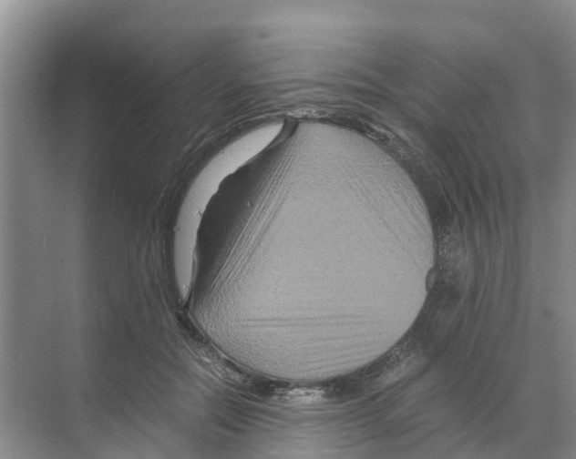 X0000070170554200606231924