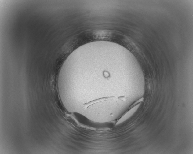 X0000070170557200606231924