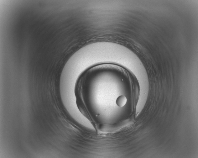 X0000070170558200606231924