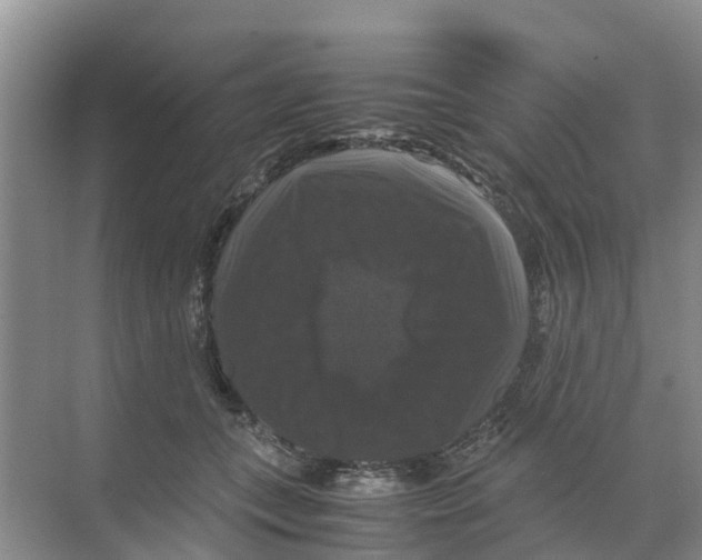 X0000070170559200606231924