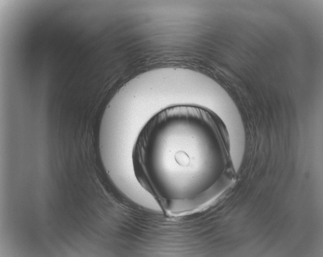 X0000070170560200606231924