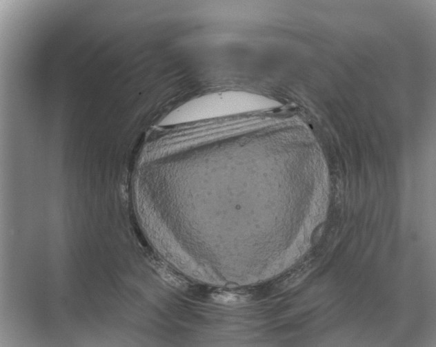 X0000070170561200606231924