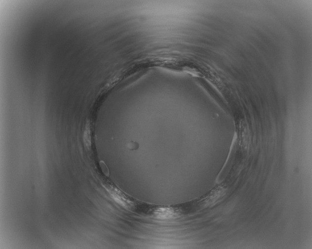 X0000070170562200606231924