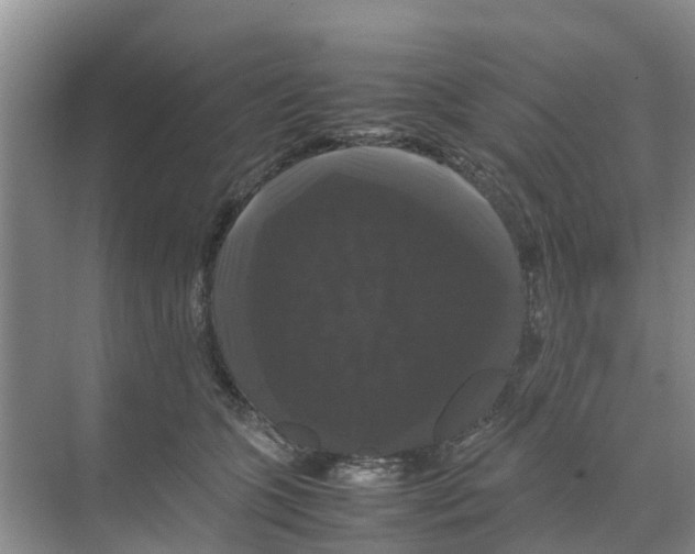 X0000070170563200606231924