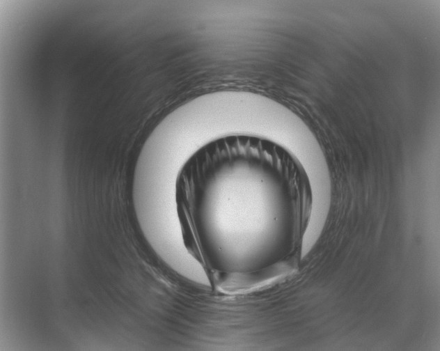 X0000070170564200606231924