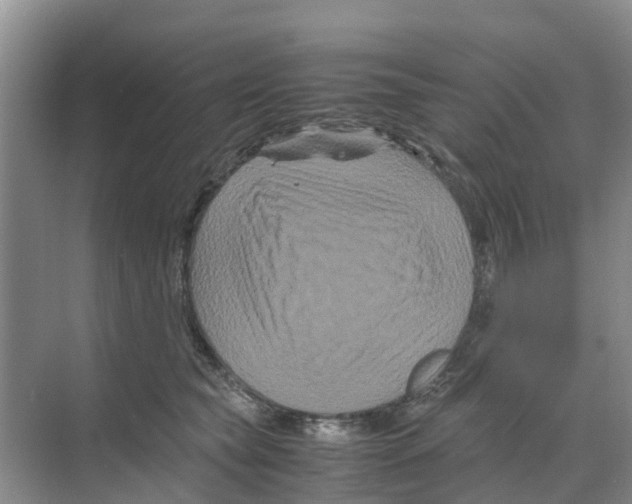 X0000070170565200606231924