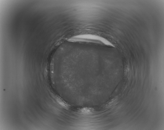 X0000070170566200606231924