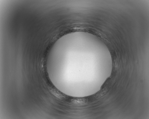 X0000070170567200606231924