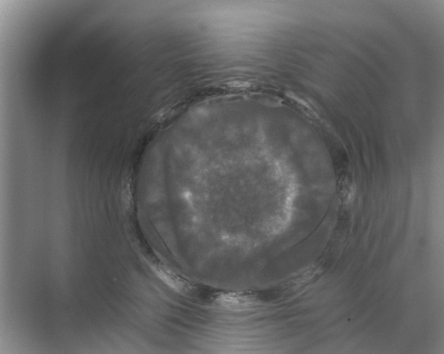 X0000070170568200606231924