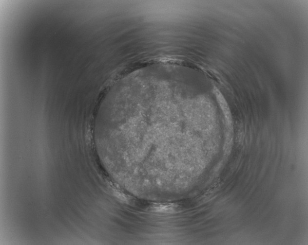 X0000070170569200606231924