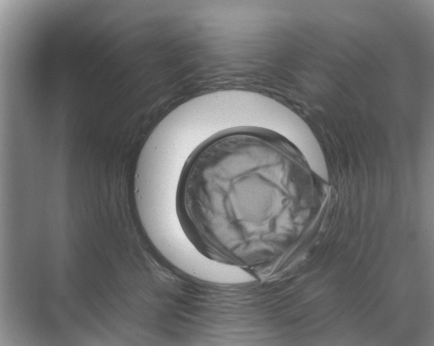 X0000070170570200606231924