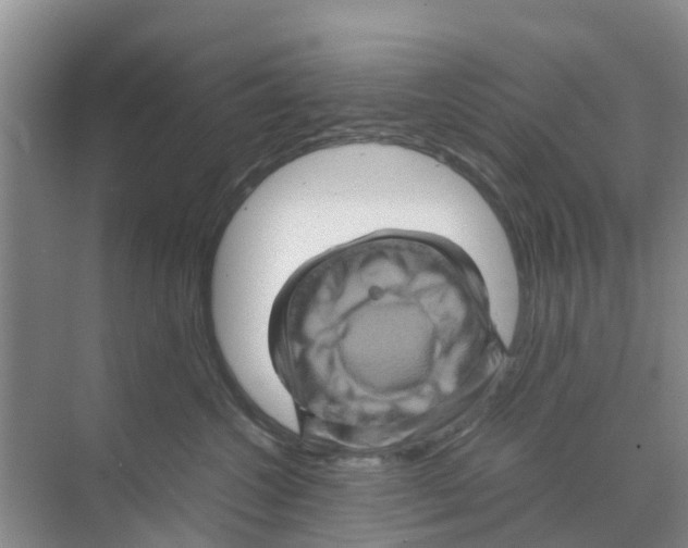 X0000070170572200606231924