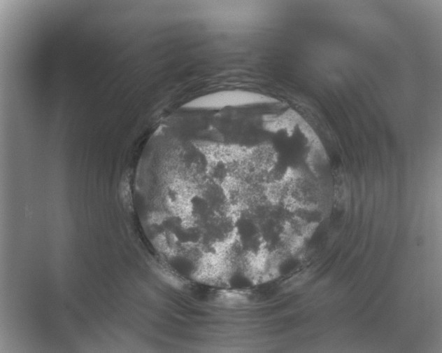 X0000070170573200606231924