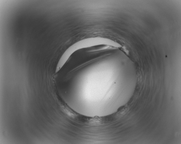 X0000070170574200606231924