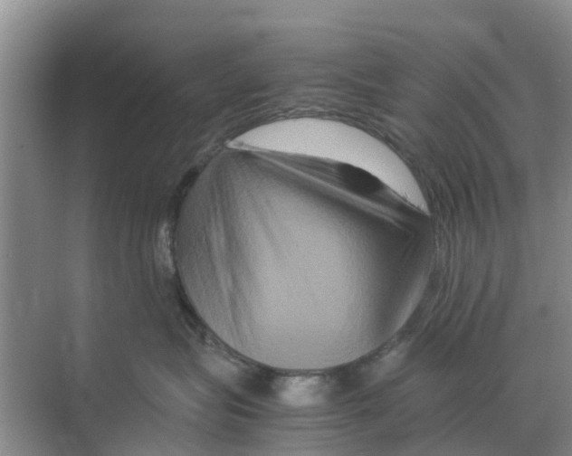 X0000070170575200606231924