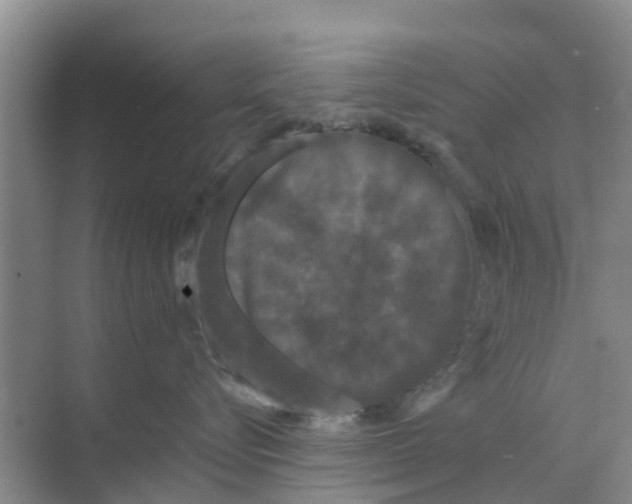 X0000070170576200606231924