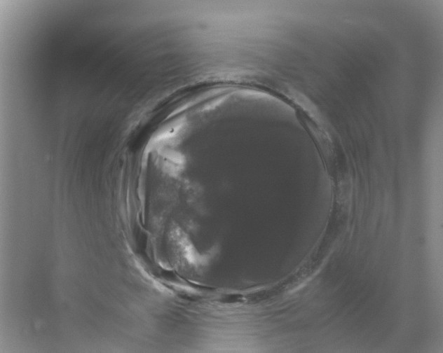 X0000070170577200606231923