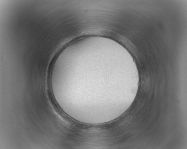 X0000070170578200606231923