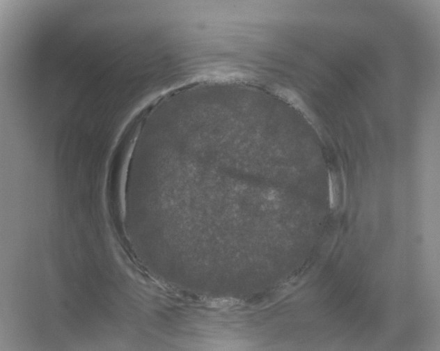 X0000070170579200606231923