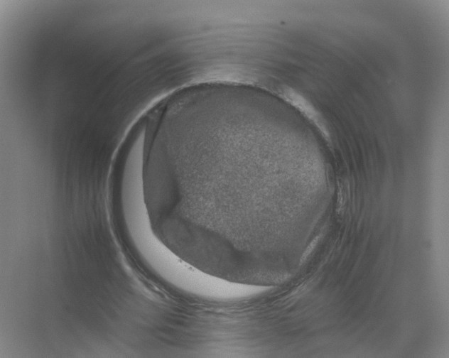 X0000070170580200606231923