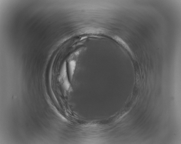 X0000070170581200606231923