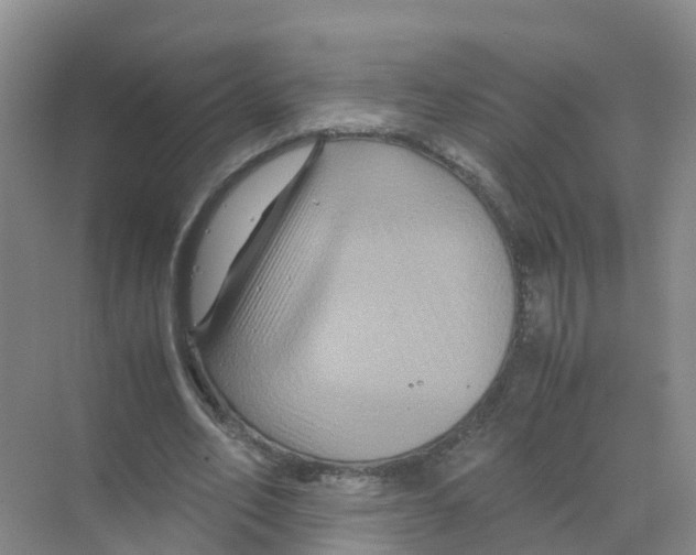 X0000070170582200606231923