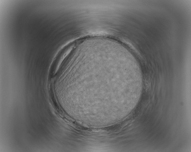 X0000070170583200606231923